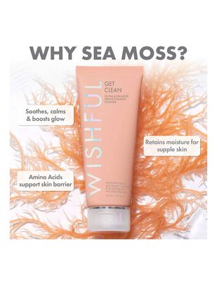 Wishful by HUDA BEAUTY Get Clean 2% PHA & Sea Moss Gentle Foaming Cleanser_img_1