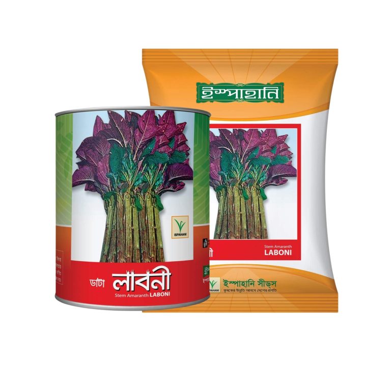 ইস্পাহানির ভুটান  ডাটা লাবনী ।   S.  Amaranth Laboni_img_0