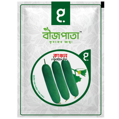 হাইব্রিড শসা বীজ কাঞ্চন। F1 Hybrid Cucumber Seeds Kanchan_img_0