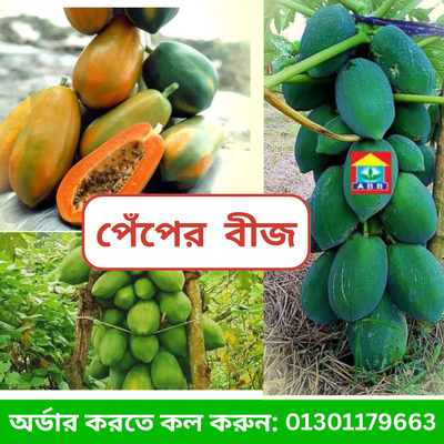 সেরা জাতের পেঁপে_img_0