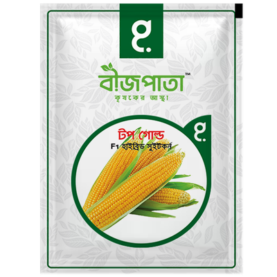 টপ গোল্ড এফ১ হাইব্রিড সুইট কর্ন বীজ।  Top Gold Sweet Corn Seed_img_0