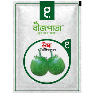 ঊষা এফ১ হাইব্রিড বেগুন বীজ। Usha F1 Hybrid Brinjal Seeds_img_0