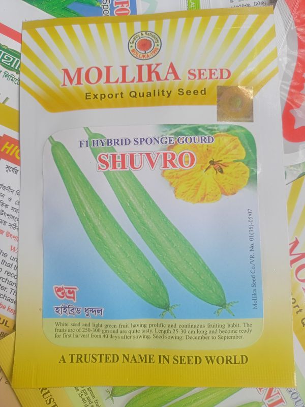 হাইব্রিড  ধুন্দল শুভ্র।  F1 Hybrid Sponge Gourd Seeds Shuvro