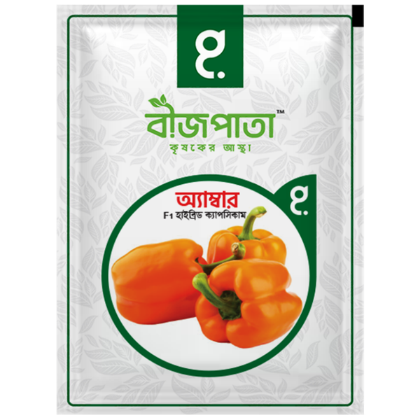অ্যাম্বার এফ১ হাইব্রিড ক্যাপসিকাম বীজ।  Amber F1 Hybrid Capsicum Seeds