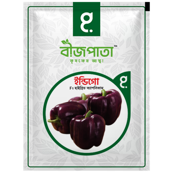 ইন্ডিগো এফ১ হাইব্রিড ক্যাপসিকাম বীজ। Indigo F1 Hybrid Capsicum Seeds