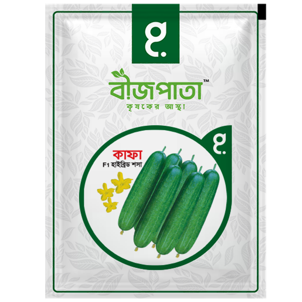 কাফা এফ১ হাইব্রিড শসা বীজ। Kafa F1 Hybrid Cucumber Seeds