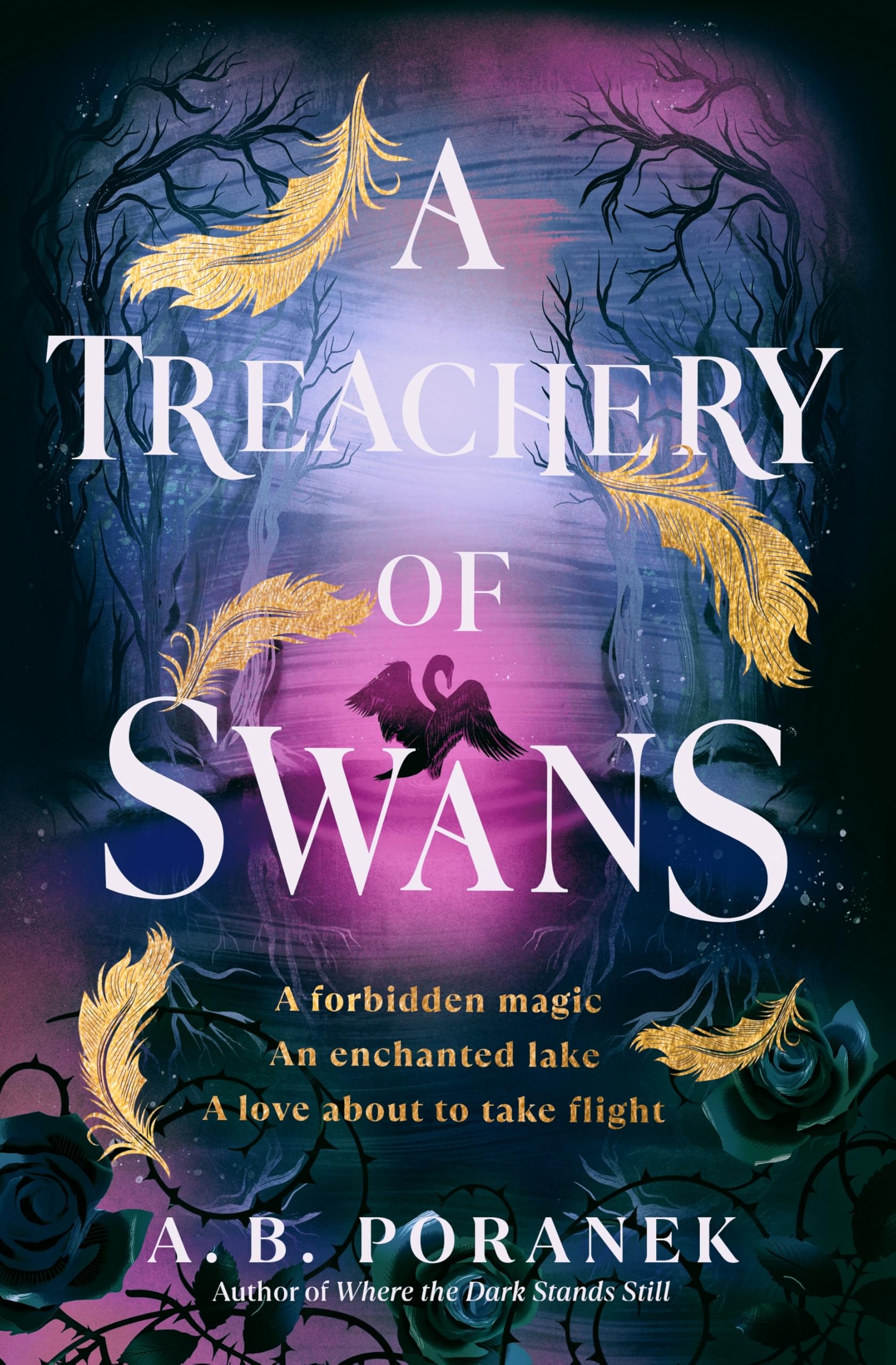 A Treachery of Swans Book by A. B. Poranek_img_0