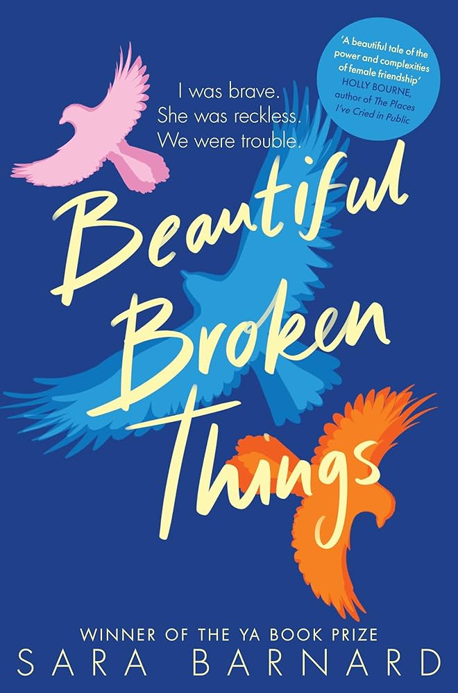 Beautiful Broken Things Book by Sara Barnard_img_0
