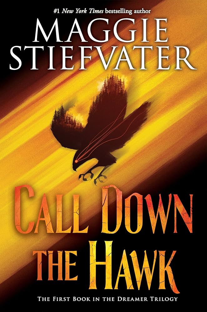 Call Down the Hawk Book by Maggie Stiefvater_img_0