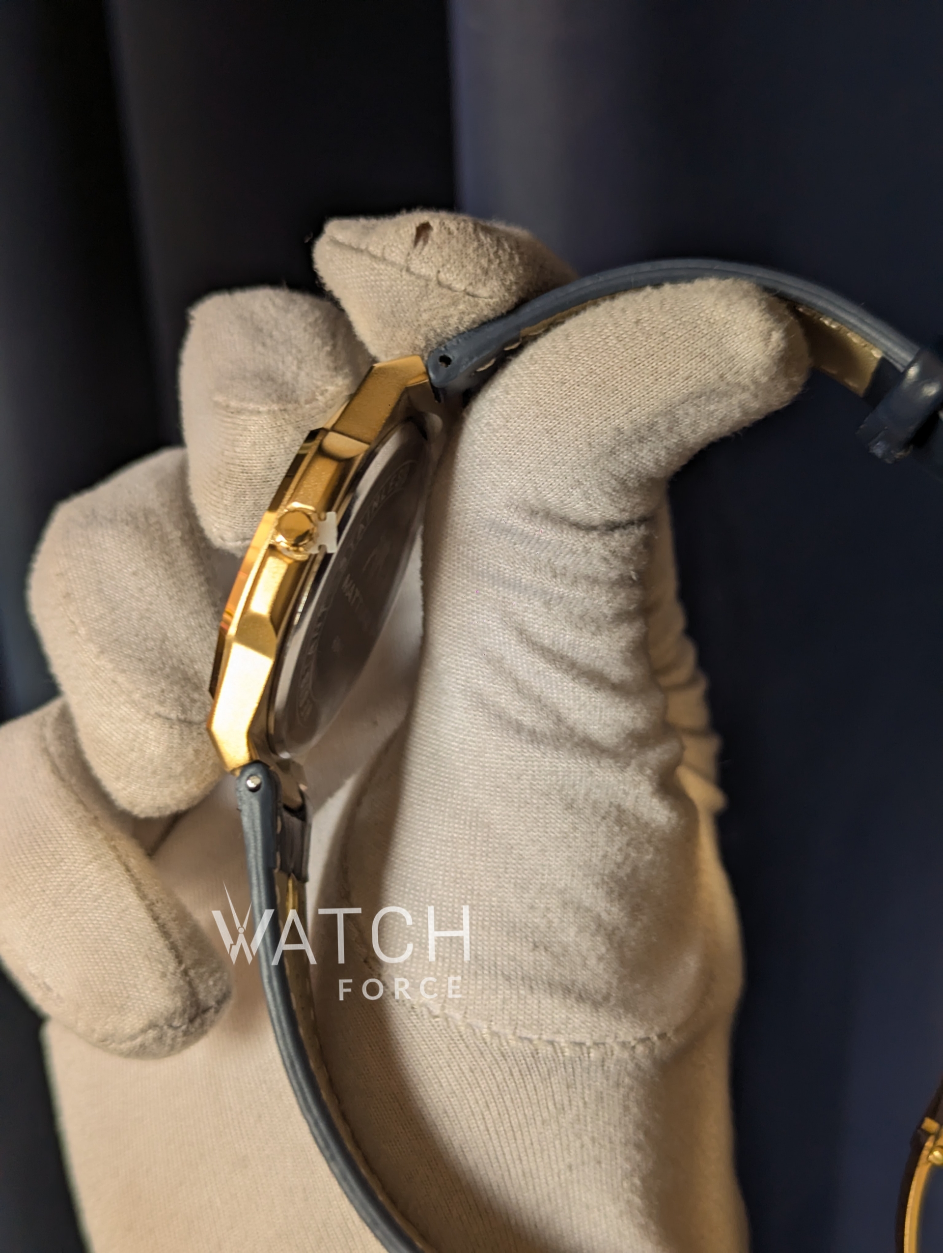 Matturi Golden Blue Face_img_2