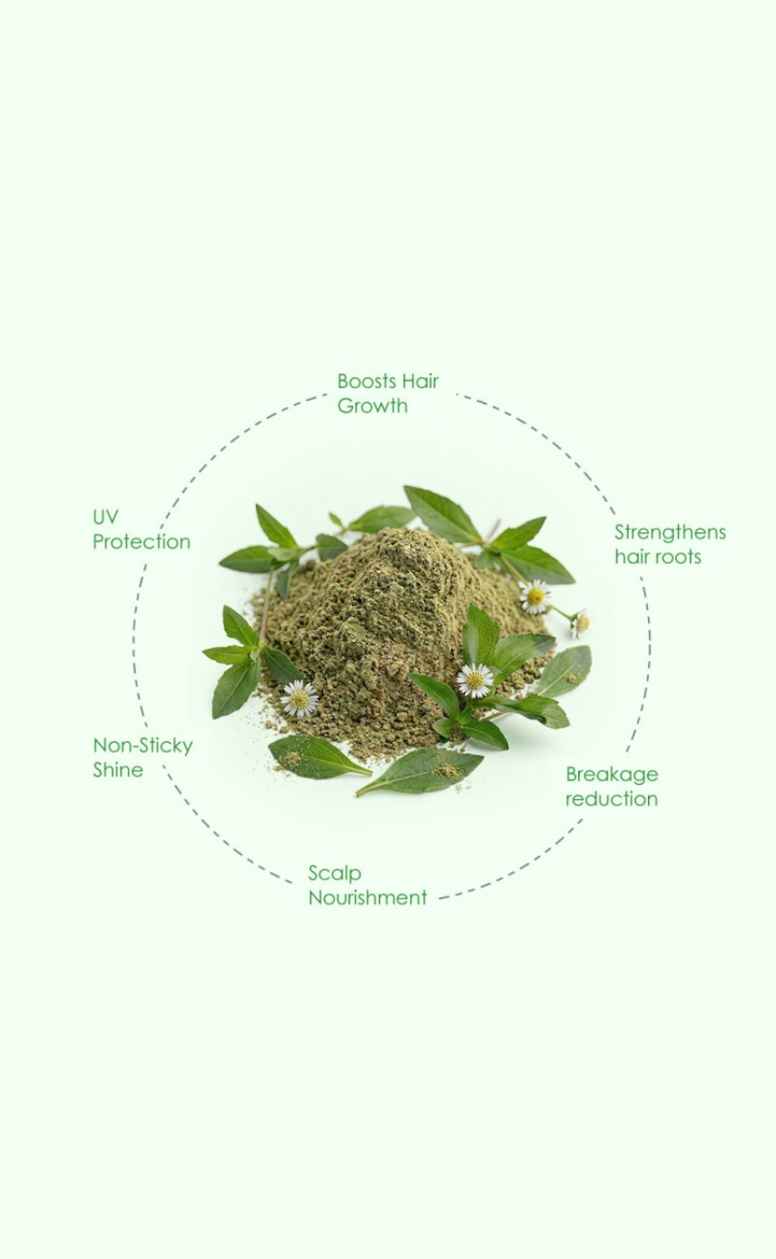 Lily Advanced Anti-Hair fall Serum Oil - Image 2