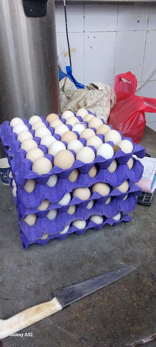 organic/Desi chicken .Egg._img_3