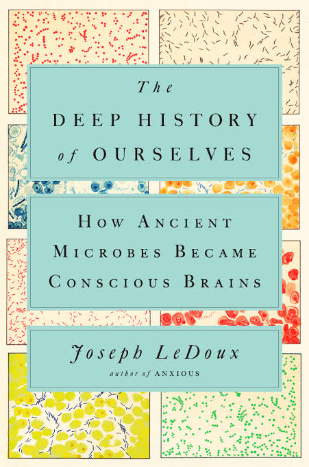 The Deep History of Ourselves: The Four-Billion-Year Story of How We Got Conscious Brains_img_0
