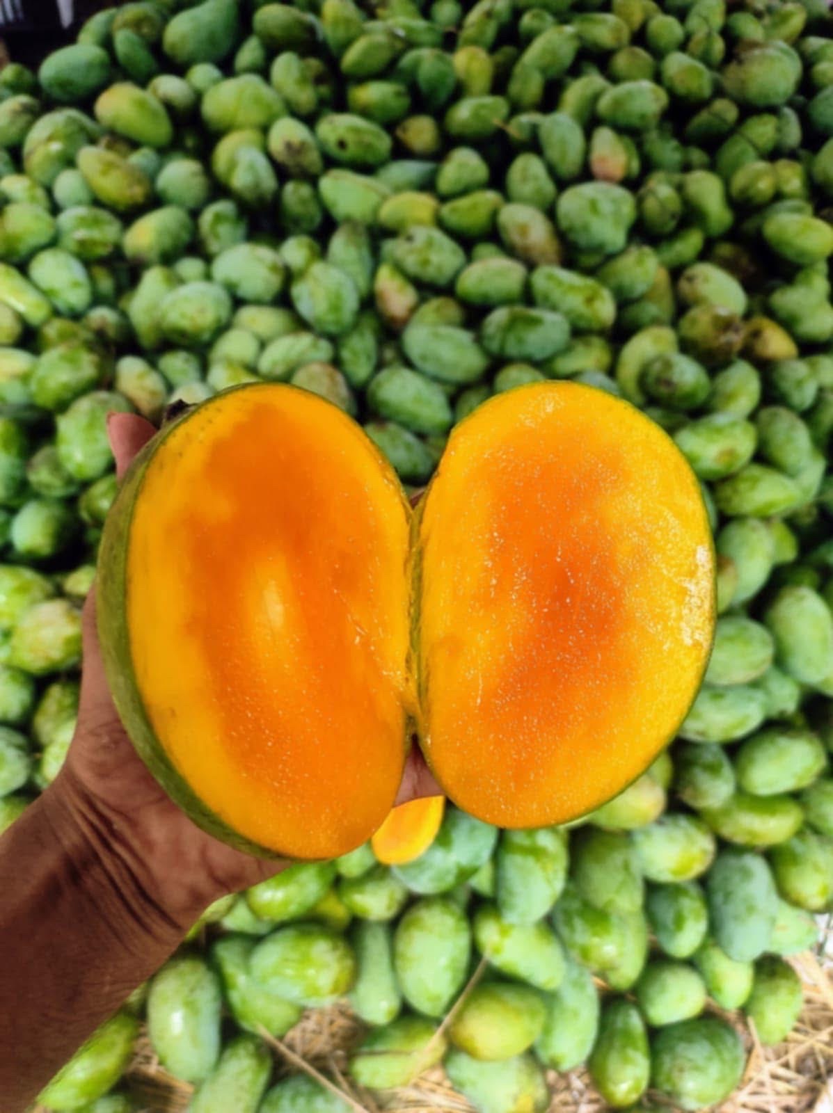 সুরমা ফজলী আম (Surma Fazlee Mango)_img_2