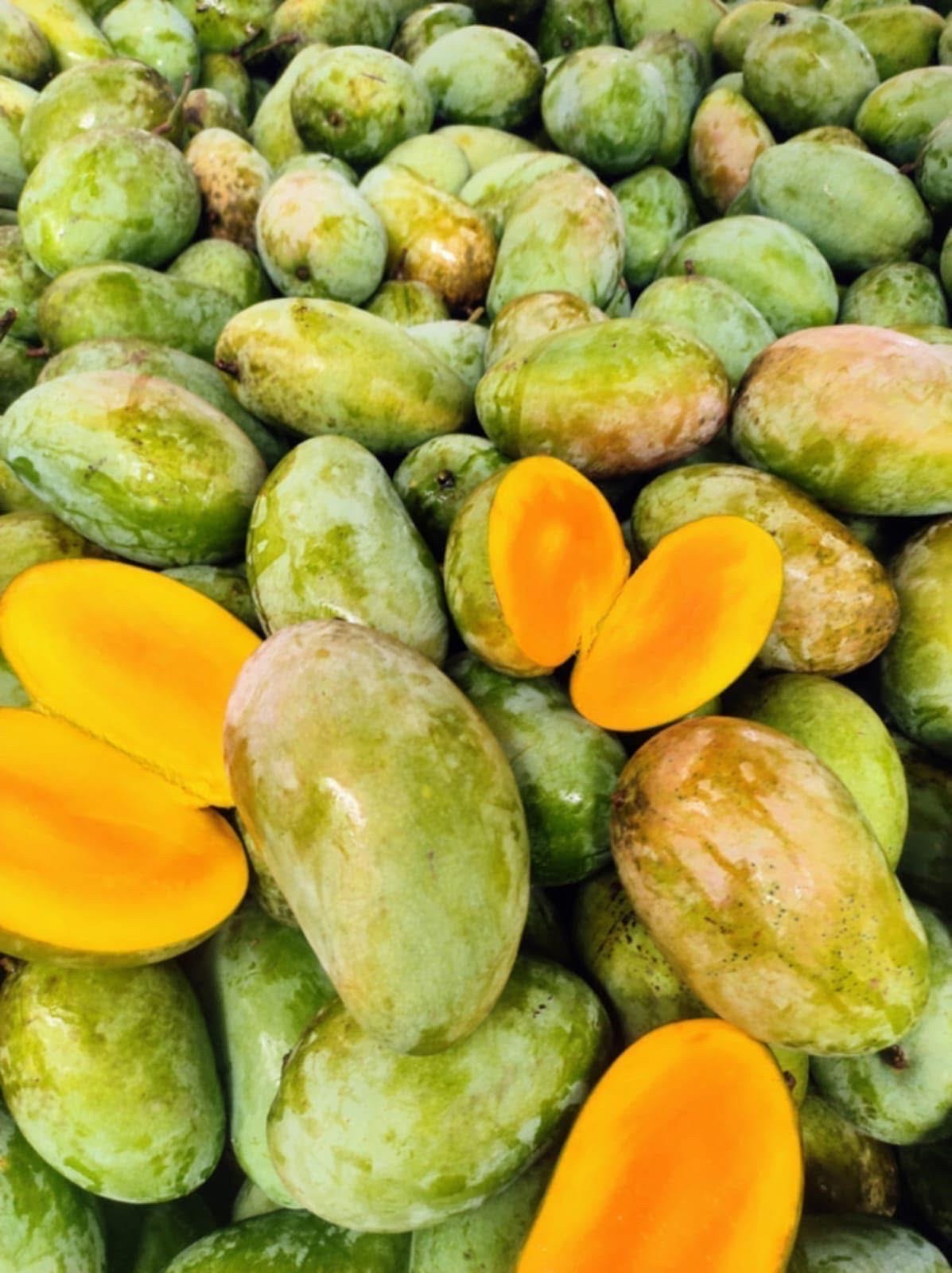 সুরমা ফজলী আম (Surma Fazlee Mango)_img_6