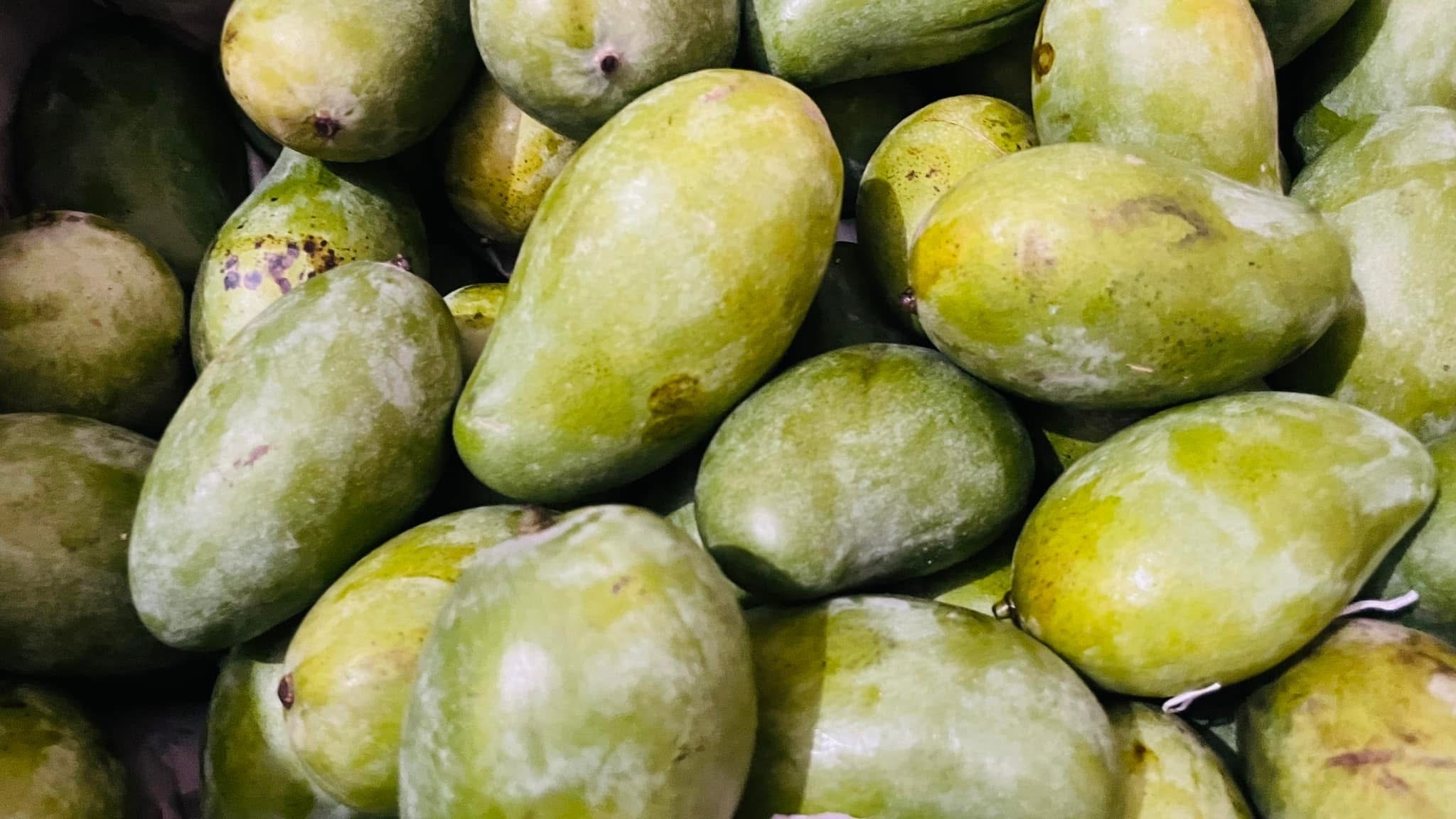 সুরমা ফজলী আম (Surma Fazlee Mango)_img_7