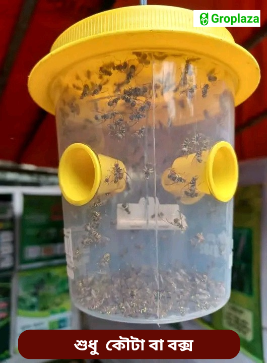 ফসলের মাছি পোকা দমনের ফেরোমন ফাঁদ / বক্স / কোটা_img_0
