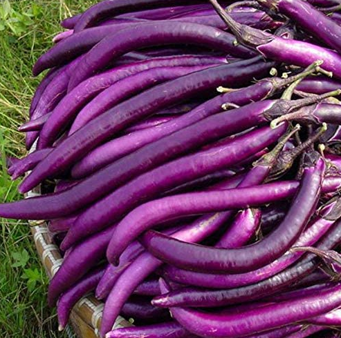 লম্বা বেগুন – Eggplant (এগপ্লান্ট)/  ১ কেজি - Image 1