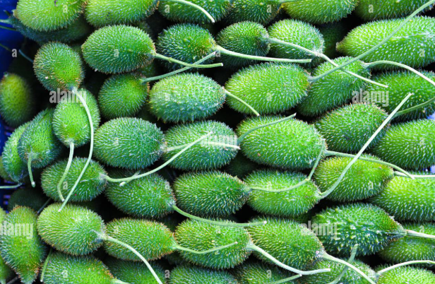 কাঁকরোল – Sweet Bitter Gourd (সুইট বিটার গোর্ড)/  ১ কেজি - Image 1