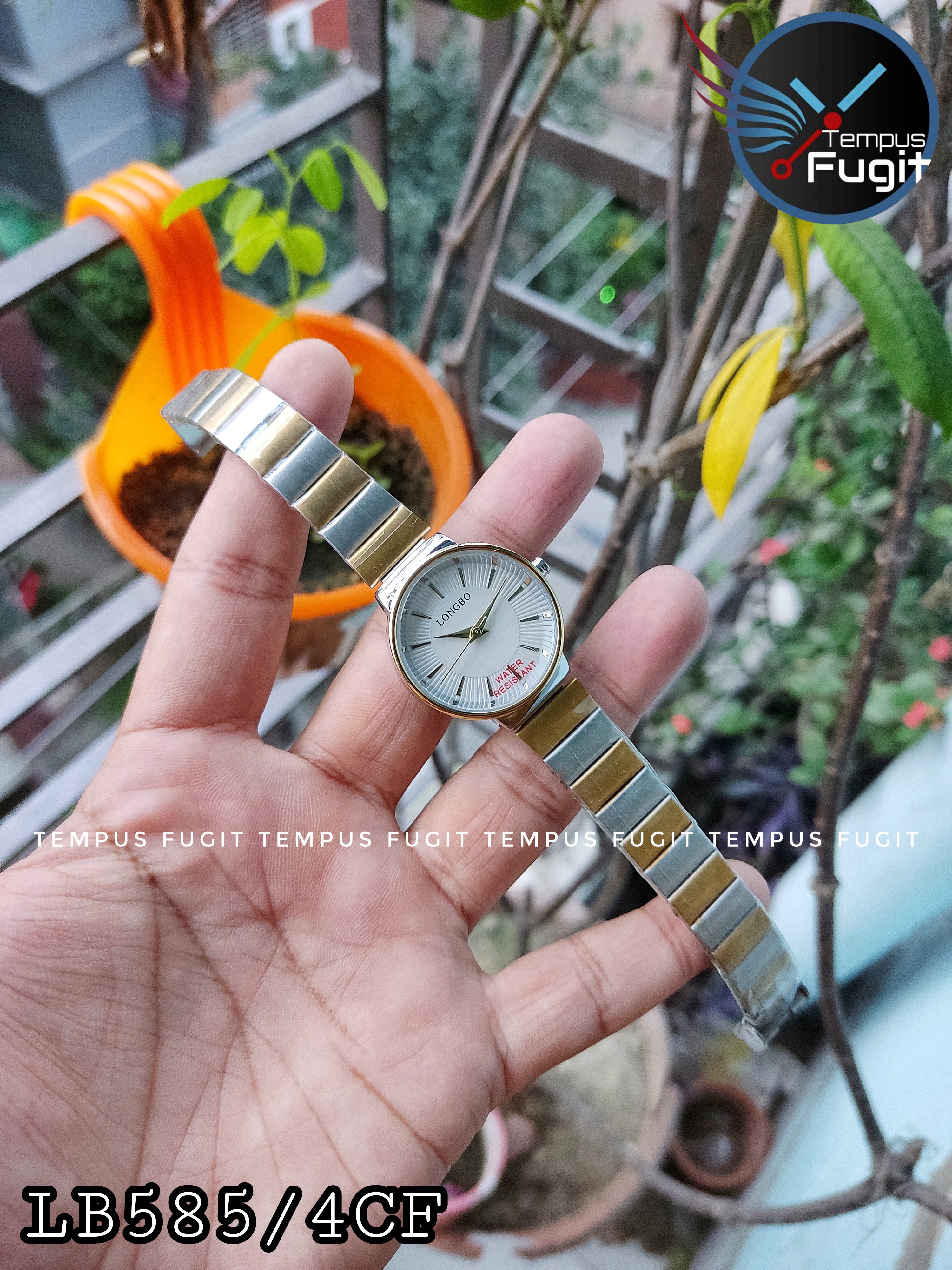 Longbo 80899 Ladies Chain Watch- White Dial- Golden Bezel- Golden+Silver Chain- TF Code LB585/4CF_img_0