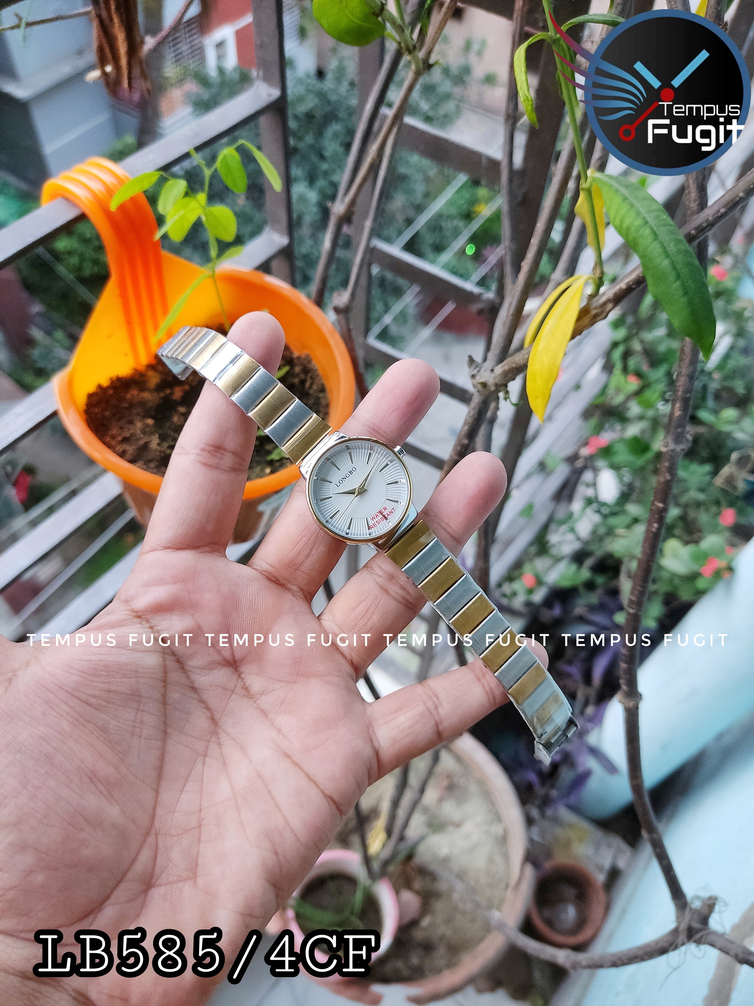 Longbo 80899 Ladies Chain Watch- White Dial- Golden Bezel- Golden+Silver Chain- TF Code LB585/4CF_img_1