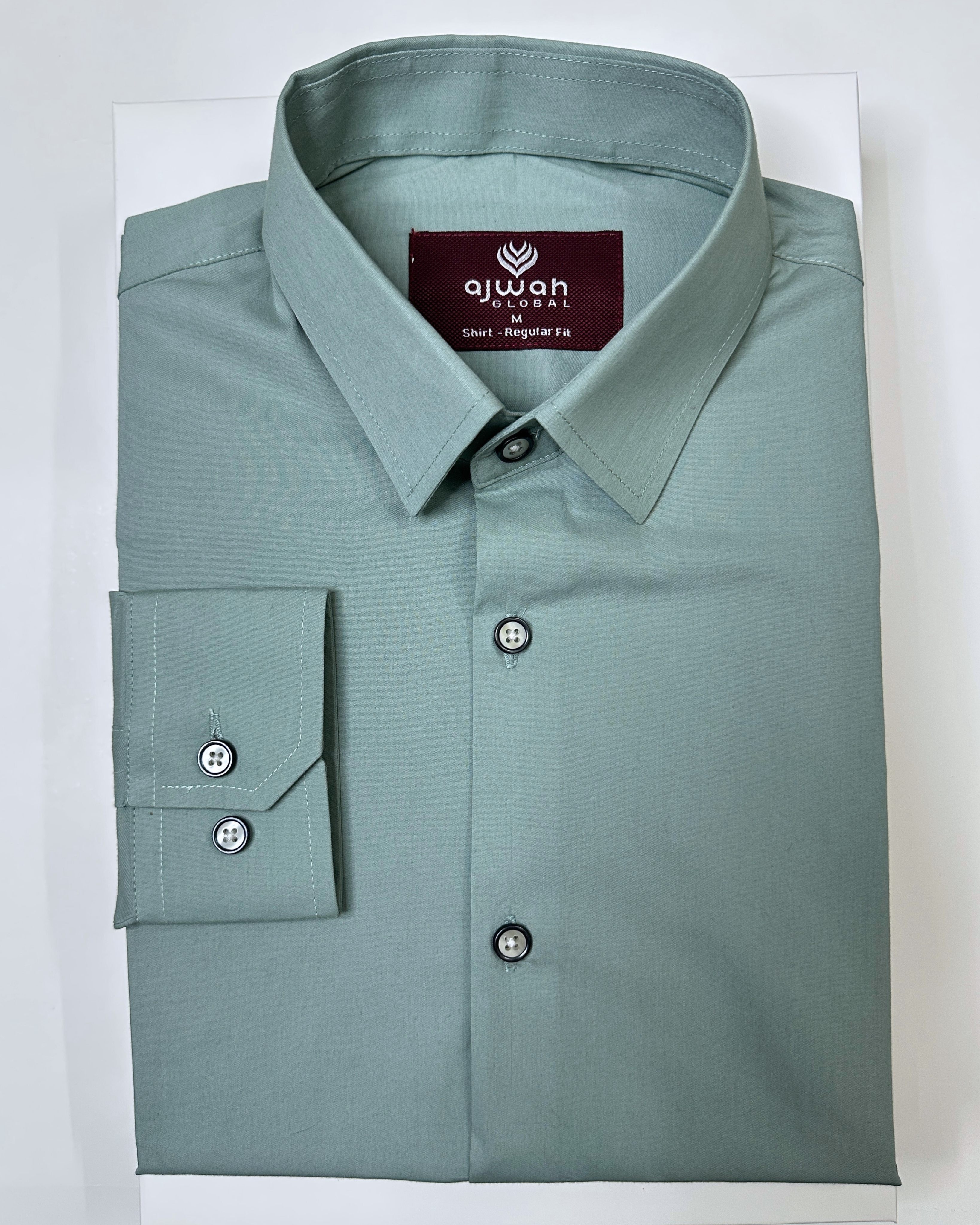 Men’s Sage Green Solid Shirt_img_1