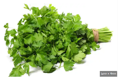 ধনে পাতা – Coriander (করিয়্যান্ডার) - Image 1