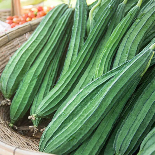 ঝিংগে – Rige Gourd (রিজ গোর্ড) / ১ কেজি - Image 1