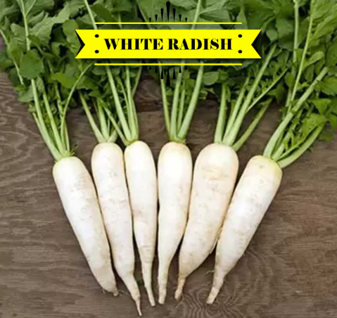 মুলা – Radish (র‍্যাডিস) / ১ হালি - Image 1