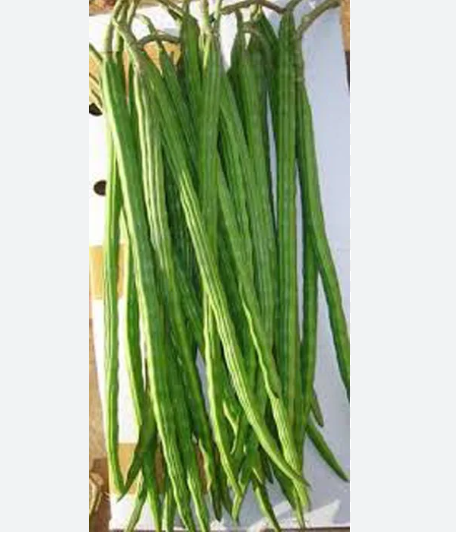 সাজনা – Drum Stick (ড্রাম স্টিক) / ~  ২৫০ গ্রাম (এক মুটা ) - Image 1