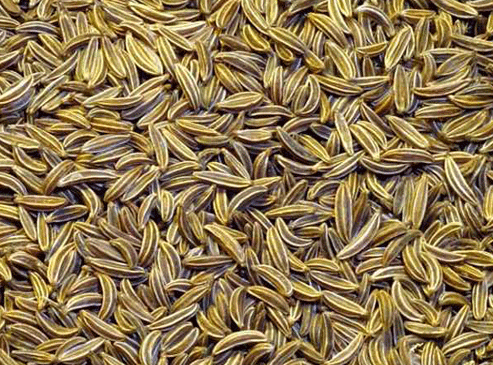 জিরা / ১০০ গ্রাম - Image 1