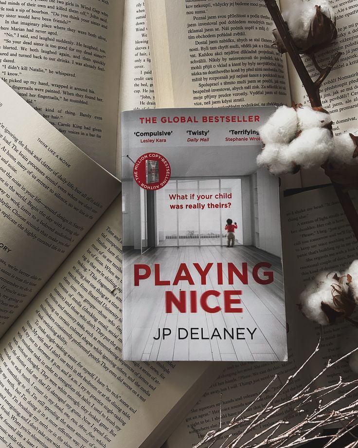 Playing Nice by Jp Delaney_img_0