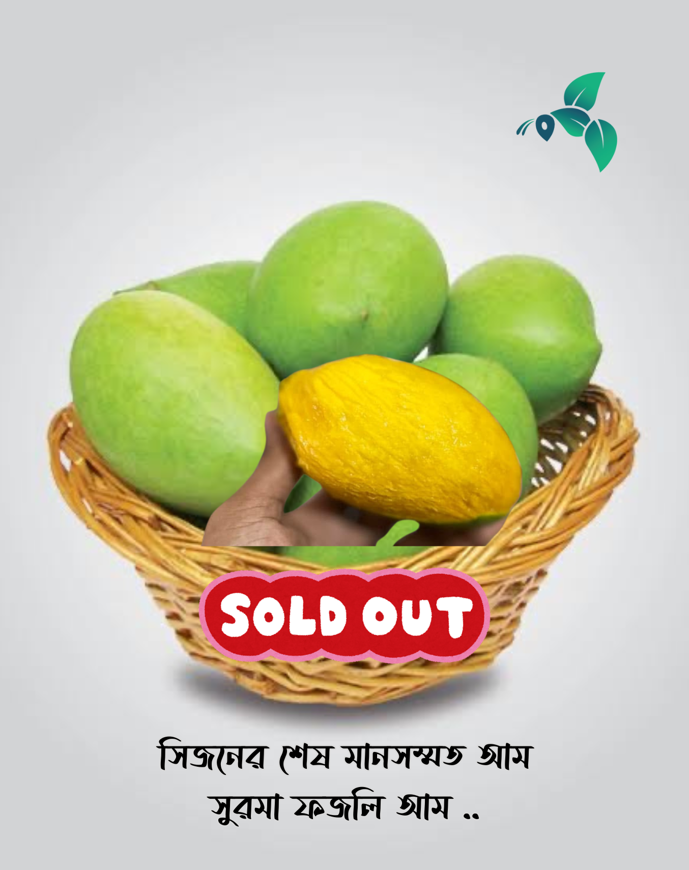 সুরমা ফজলী আম (Surma Fazlee Mango)