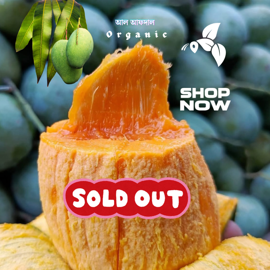 রাজশাহীর অর্গানিক আম্রুপালি (Am Rupali Mango)