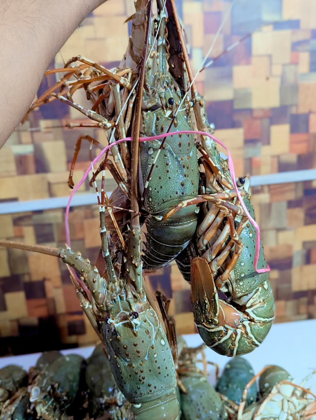 Frozen Head-On Shell Shrimps – Premium Quality_img_2