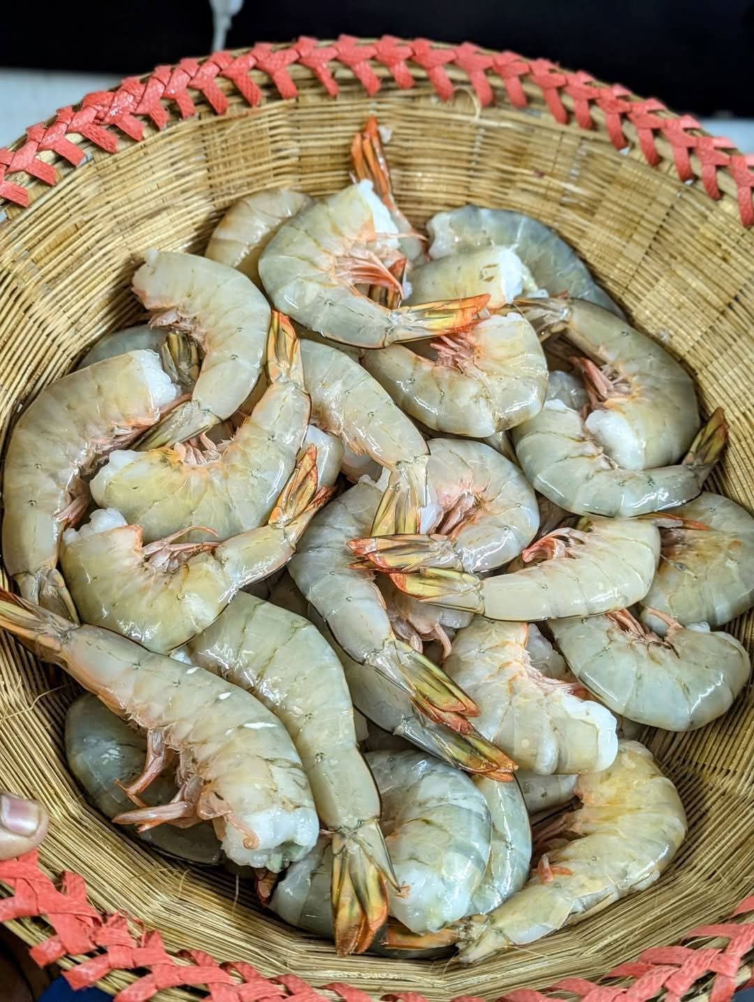 Frozen Head-On Shell Shrimps – Premium Quality_img_3