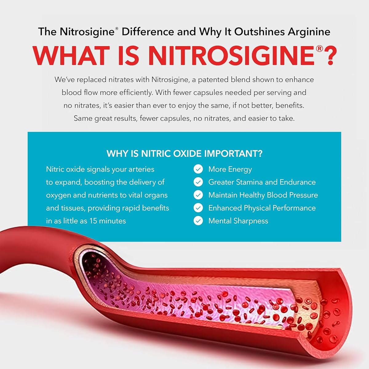 Nitric Oxide Blood Flow 7 - 60 Capsules_img_4