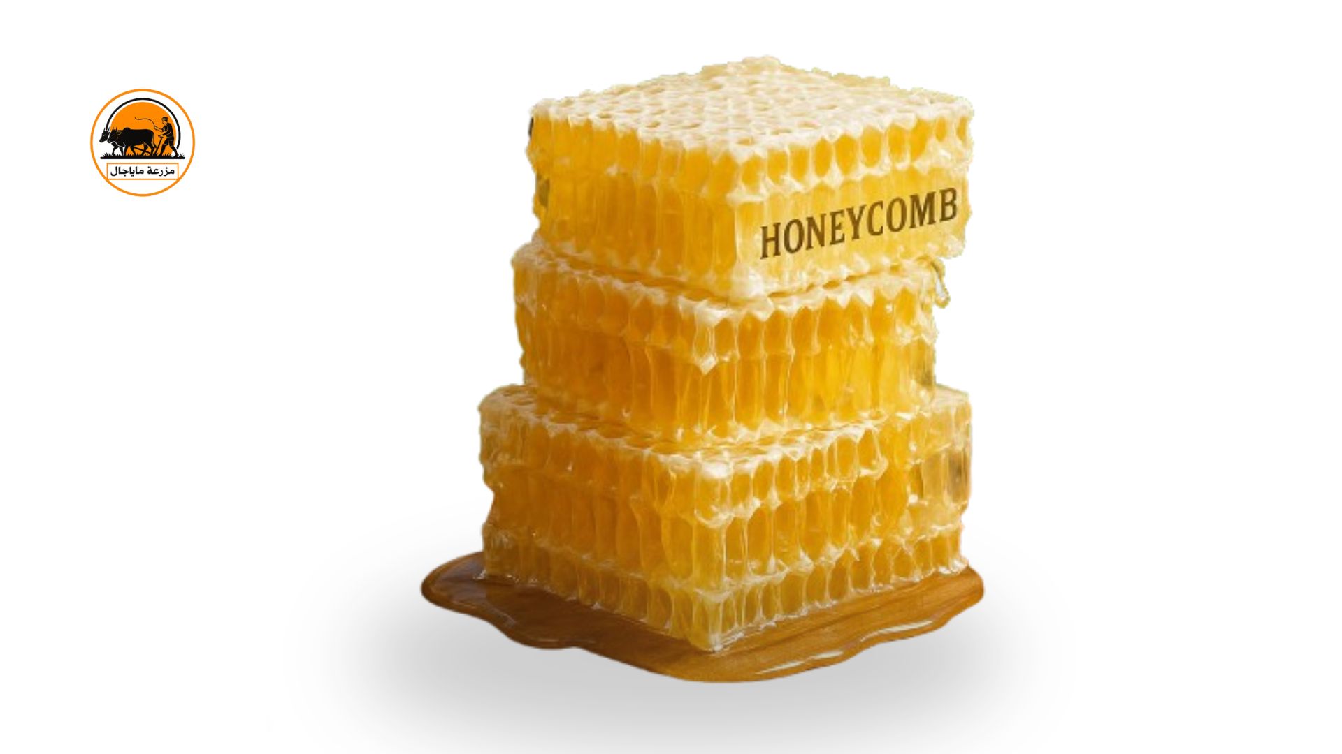 Pure Natural Honeycomb | Raw Honeycomb  –