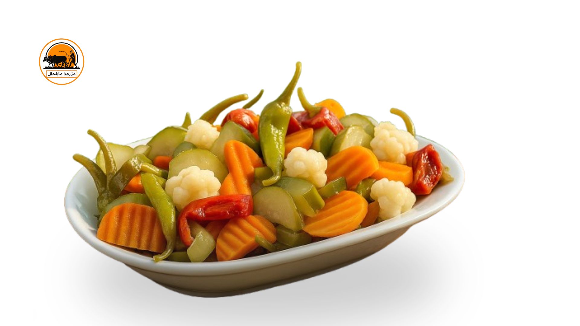 Arabic mixed pickled vegetables._img_0