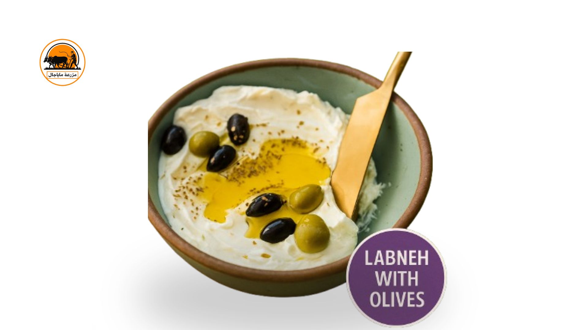Labneh with olives.