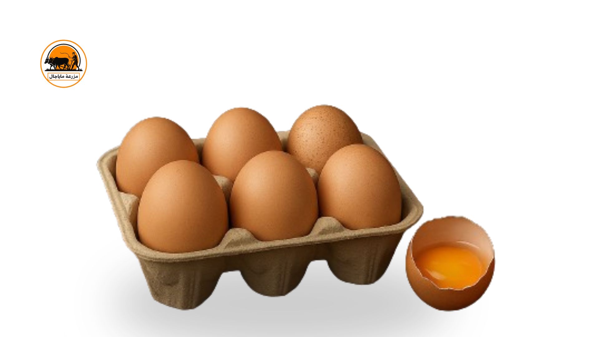 Organic Country Hen Egg