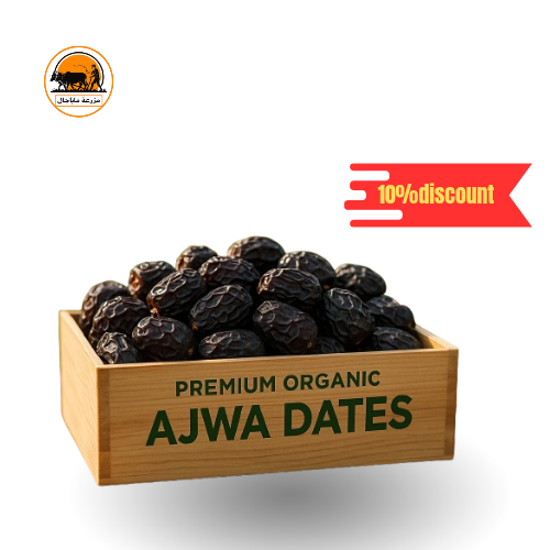 Premium Organic Ajwa Dates.