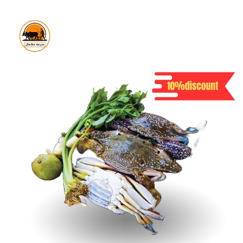 Fresh Local Big Crab.