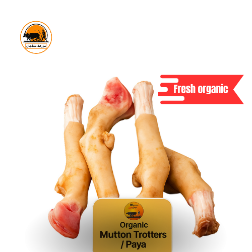 Organic mutton trotters / paya.