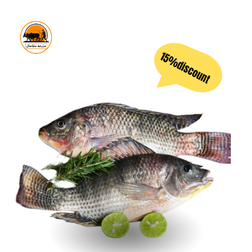 Fresh Whole Tilapia – 1kg (2-3 Pieces)