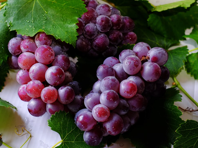 আঙুর কালো   (Grapes ) / ১কেজি - Image 3