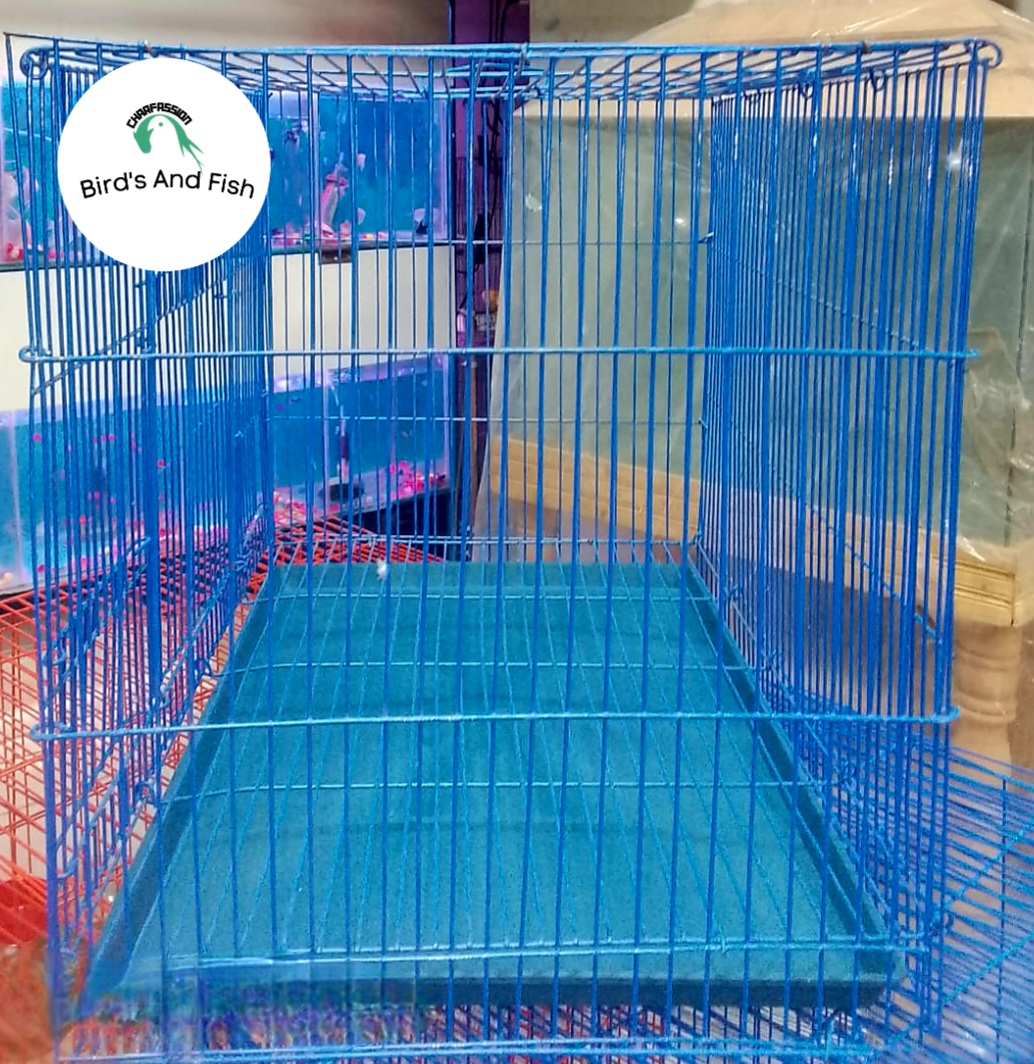 চায়নিজ দেশি খাচা ১২/১৮ স্কায়ার_img_2