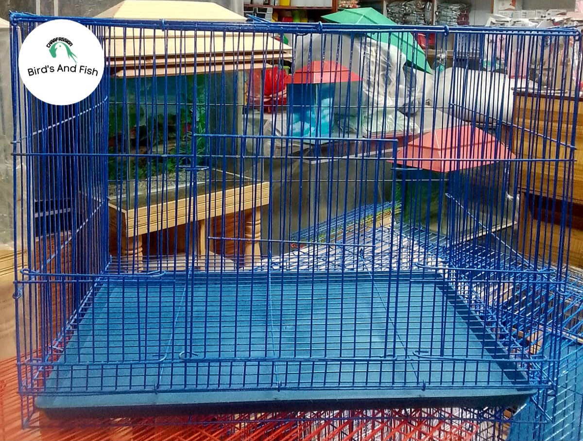 চায়নিজ দেশি খাচা ১২/১৮ স্কায়ার_img_3