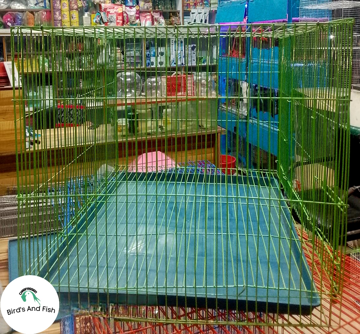 চায়নিজ দেশ খাচা ১৬×২০ স্কায়ার