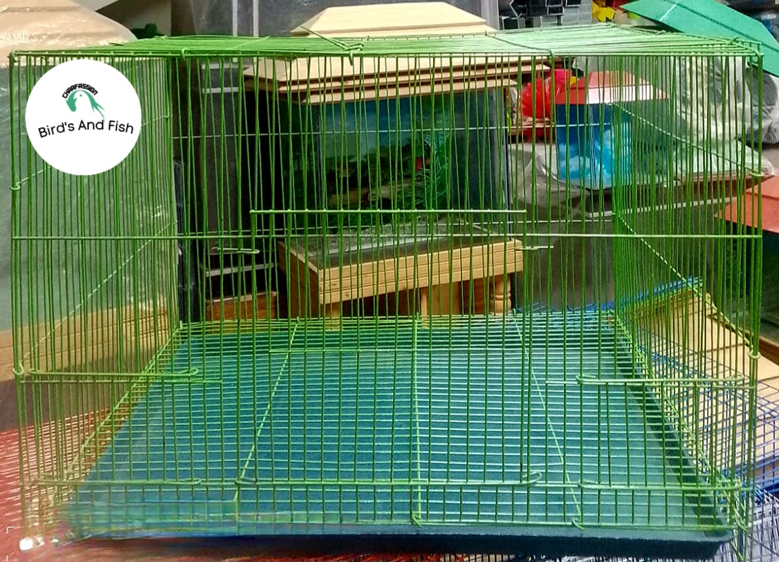 চায়নিজ দেশ খাচা ১৬×২০ স্কায়ার_img_2